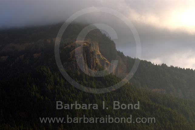 Early morning light on cliff faces near Hamilton Mountain, Columbia River Gorge